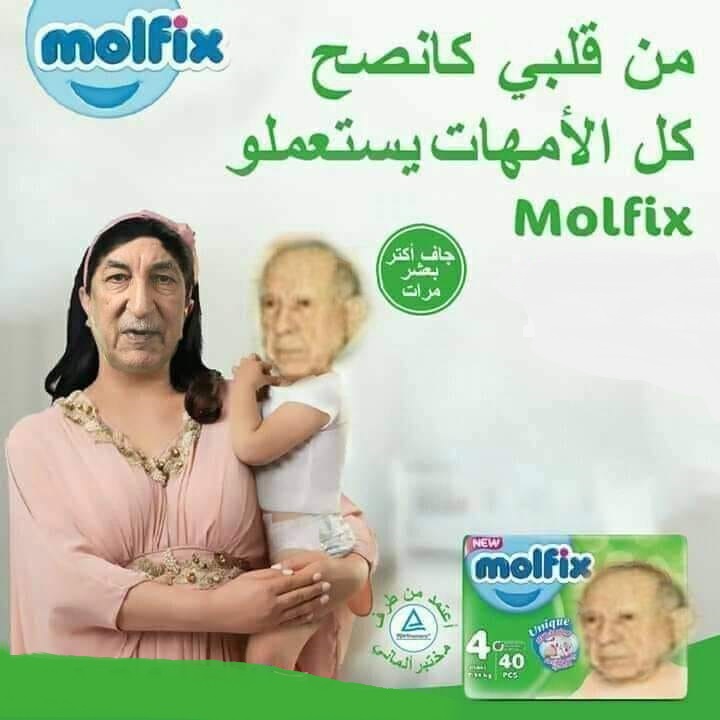 رفقة بوال الأركان تبون يشرف على حفل تخرج الدفعات بالأكاديمية العسكرية لشرشال